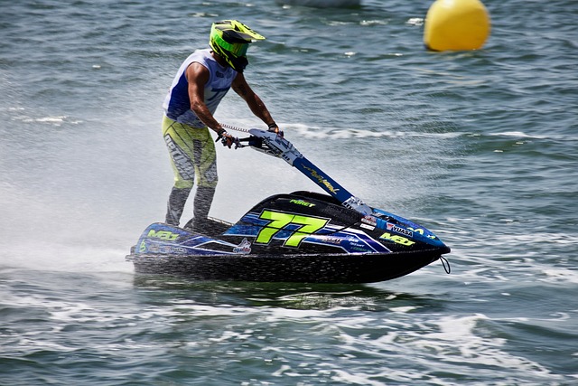 体现了政府 体现了政府