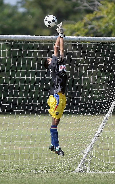 崭新的一页 崭新的一页