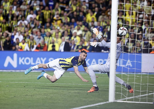 星达维昂 星达维昂